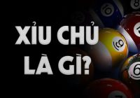 Xỉu chủ là gì, xỉu chủ miền Nam có mấy loại